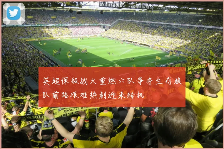英超保级战火重燃六队争夺生存狼队前路艰难热刺迎来转机