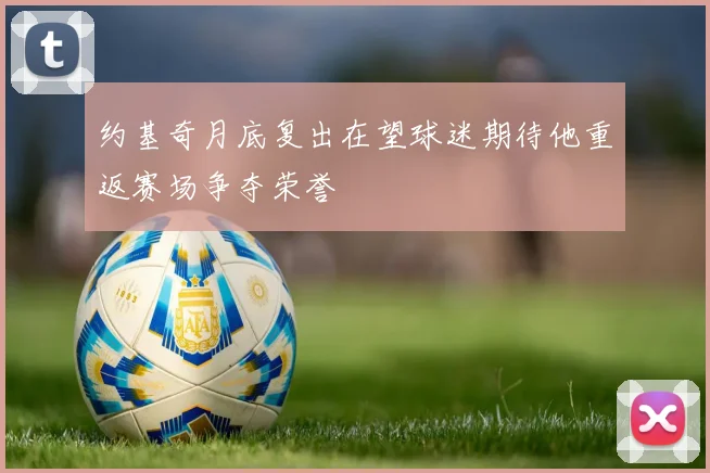 约基奇月底复出在望球迷期待他重返赛场争夺荣誉