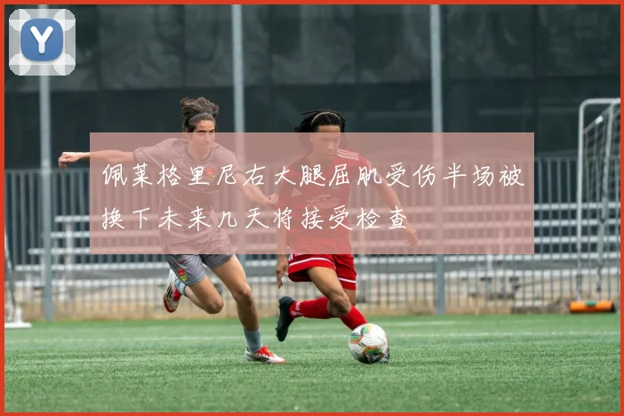 佩莱格里尼右大腿屈肌受伤半场被换下未来几天将接受检查