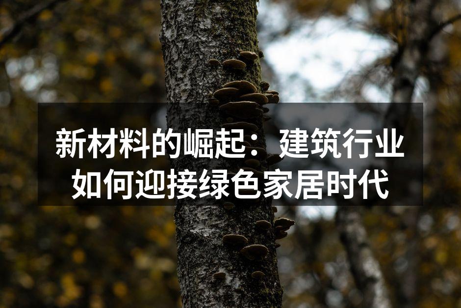 新材料的崛起：建筑行业如何迎接绿色家居时代