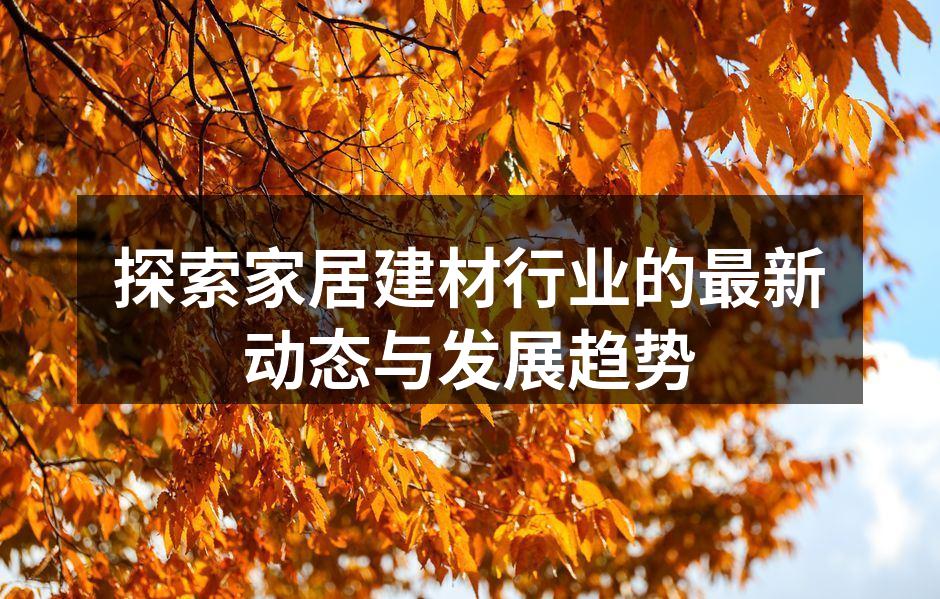 现代环保建材展示